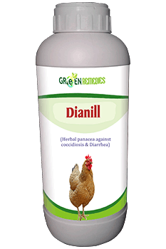 Dianill