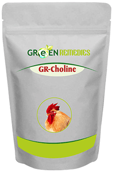 GR-Choline