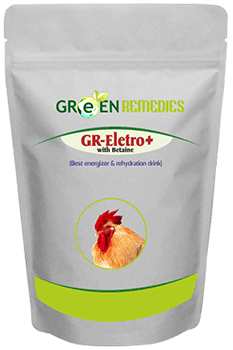 GR-Electro+