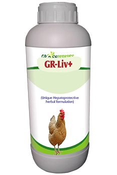 GR-Liv+