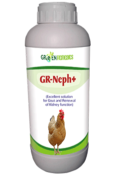 GR-Neph+