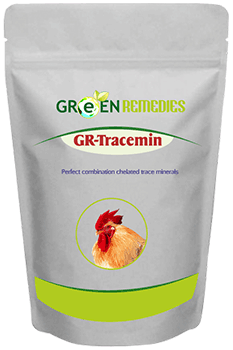 GR-Tracemin