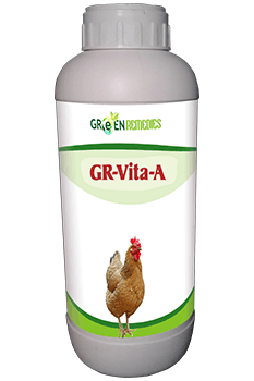 GR-Vita A