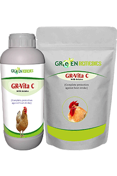 GR-Vita C