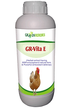 GR-Vita E