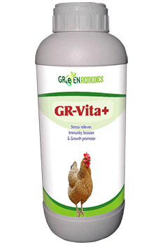 GR-Vita+