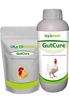 GutCure