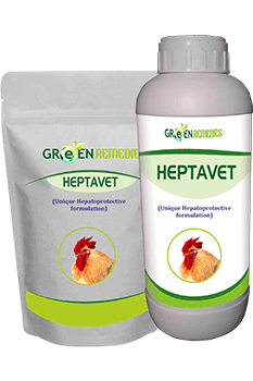 HEPTAVET