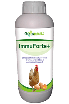 ImmuForte+