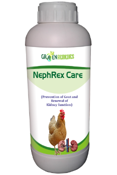 Nephrex Care